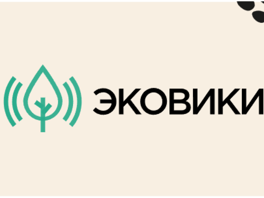 Приглашаем забайкальцев к участию во Всероссийских экологических конкурсах!